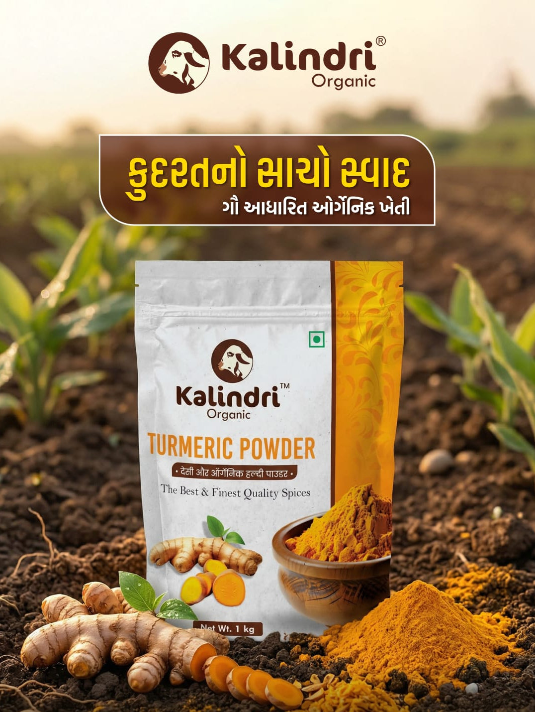 Kalindri Organic Turmeric Powder